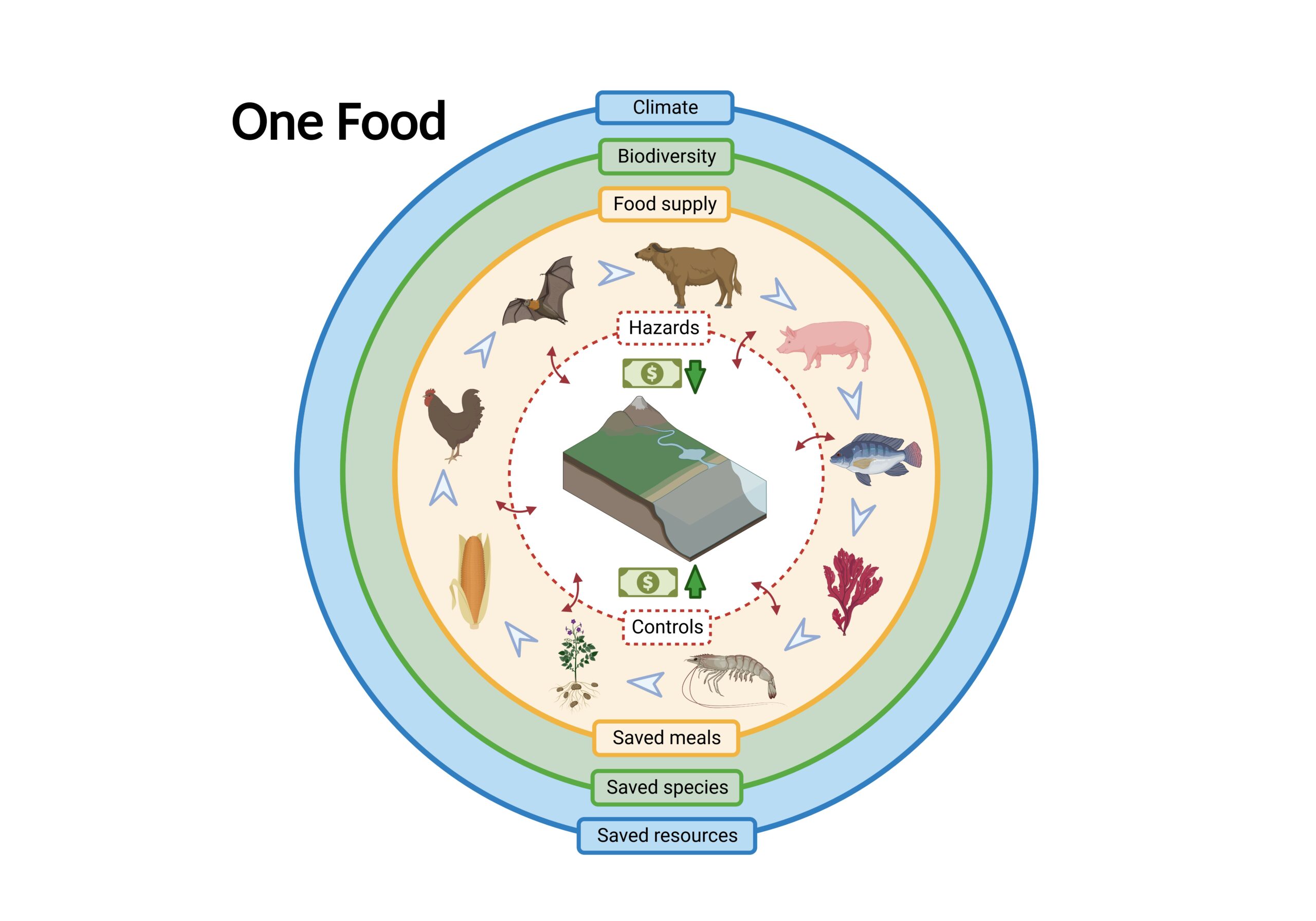 One food wheel diagram 