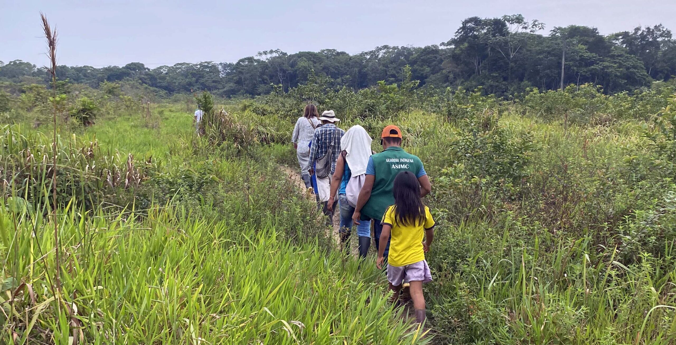Visiting the restoration plots in Resguardo Puerto Naranjo, Solano. Photo courtesy of Mabel Martínez.